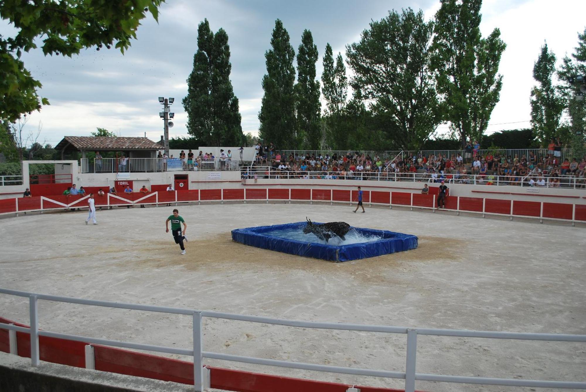 Villa La Cigale, Maussane Les Alpilles Exteriör bild